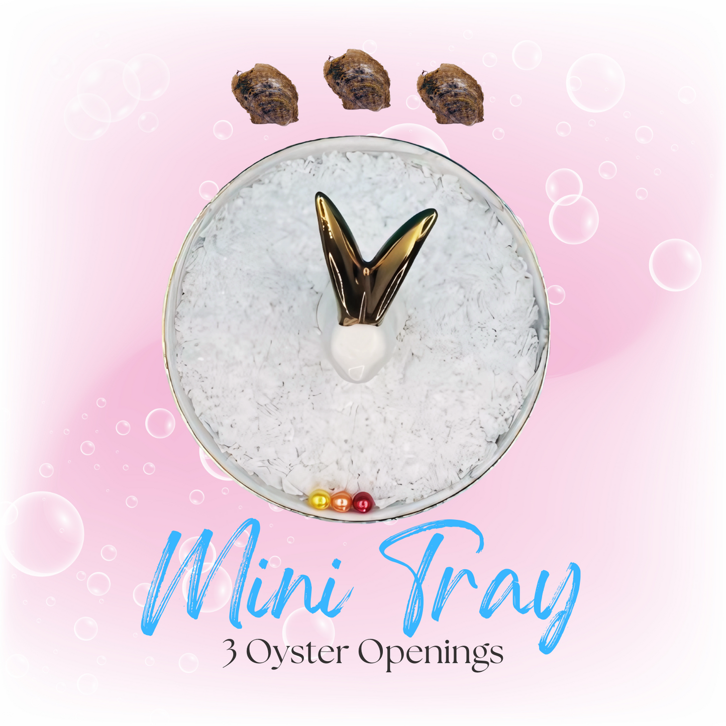 3 Oyster Openings - Mini Tray