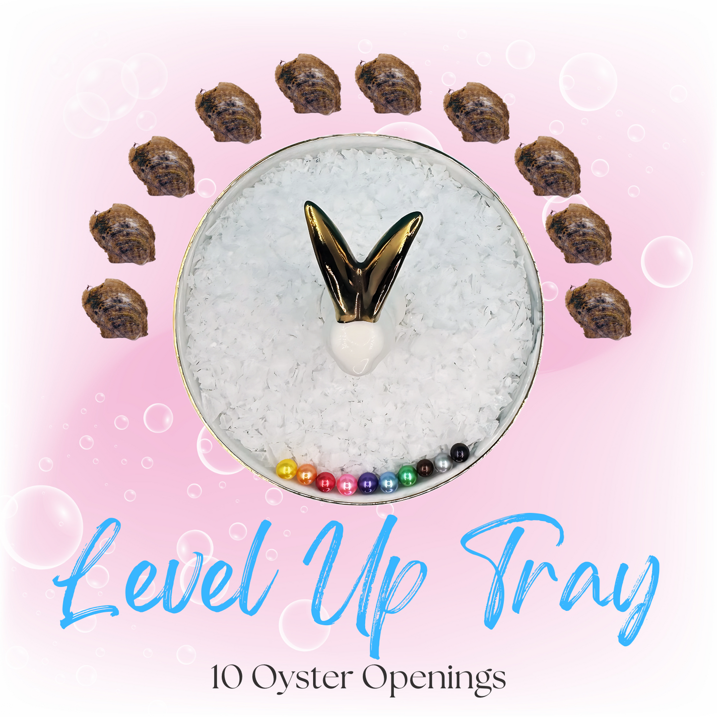 10 Oyster Openings - Level Up Tray